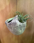Mercury Hanging Planter by Buzzby & Fang