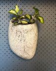 Pebble Wall Planter by Buzzby & Fang