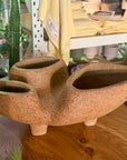 Trifango Planter by Buzzby & Fang