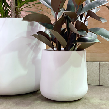 Curved Tapered Planter in White
