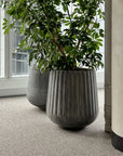 Fluted Curved Tapered Planter in Cement Grey