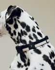 Dog Collar Flat by HAY