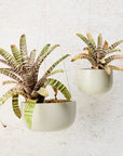 Glazed Earth Hanging Planters by Angus & Celeste