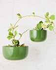 Glazed Earth Hanging Planters by Angus & Celeste