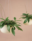 Raw Earth Hanging Planters by Angus & Celeste
