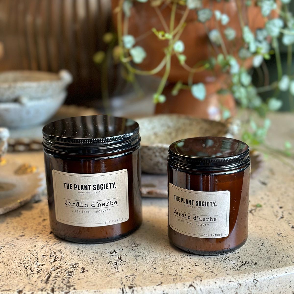Jardin d&#39;Herbé | Soy Candle | The Plant Society