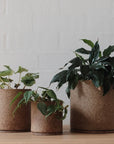 Natural Earth ID Planter by Jenn Johnston