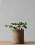 Natural Earth ID Planter by Jenn Johnston