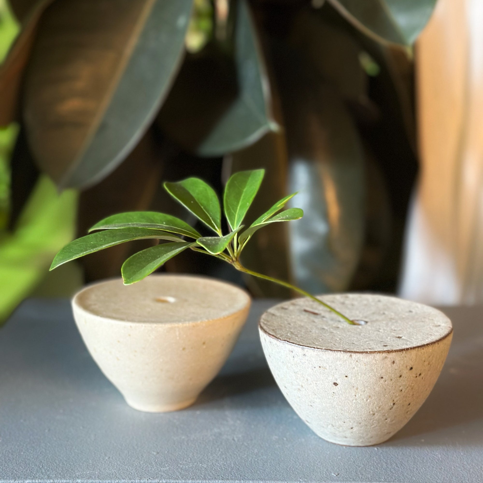 Stoneware Bud Vase in Pebble by Kristin Olds