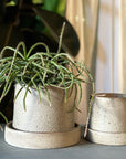 Stoneware Planter in Pebble by Kristin Olds