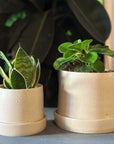 Stoneware Planter in Stone by Kristin Olds