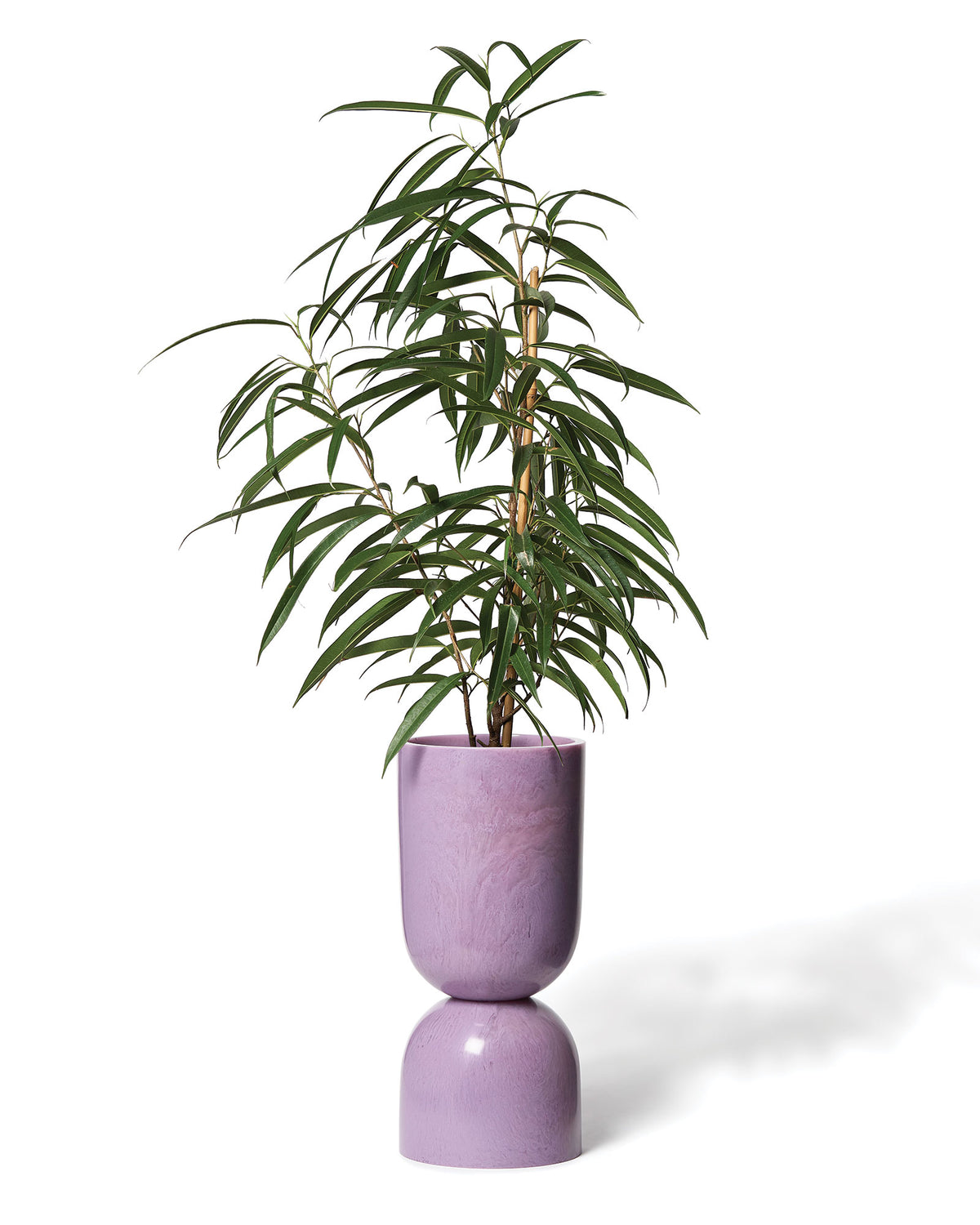 Vase - Vessel Resin by Lightly