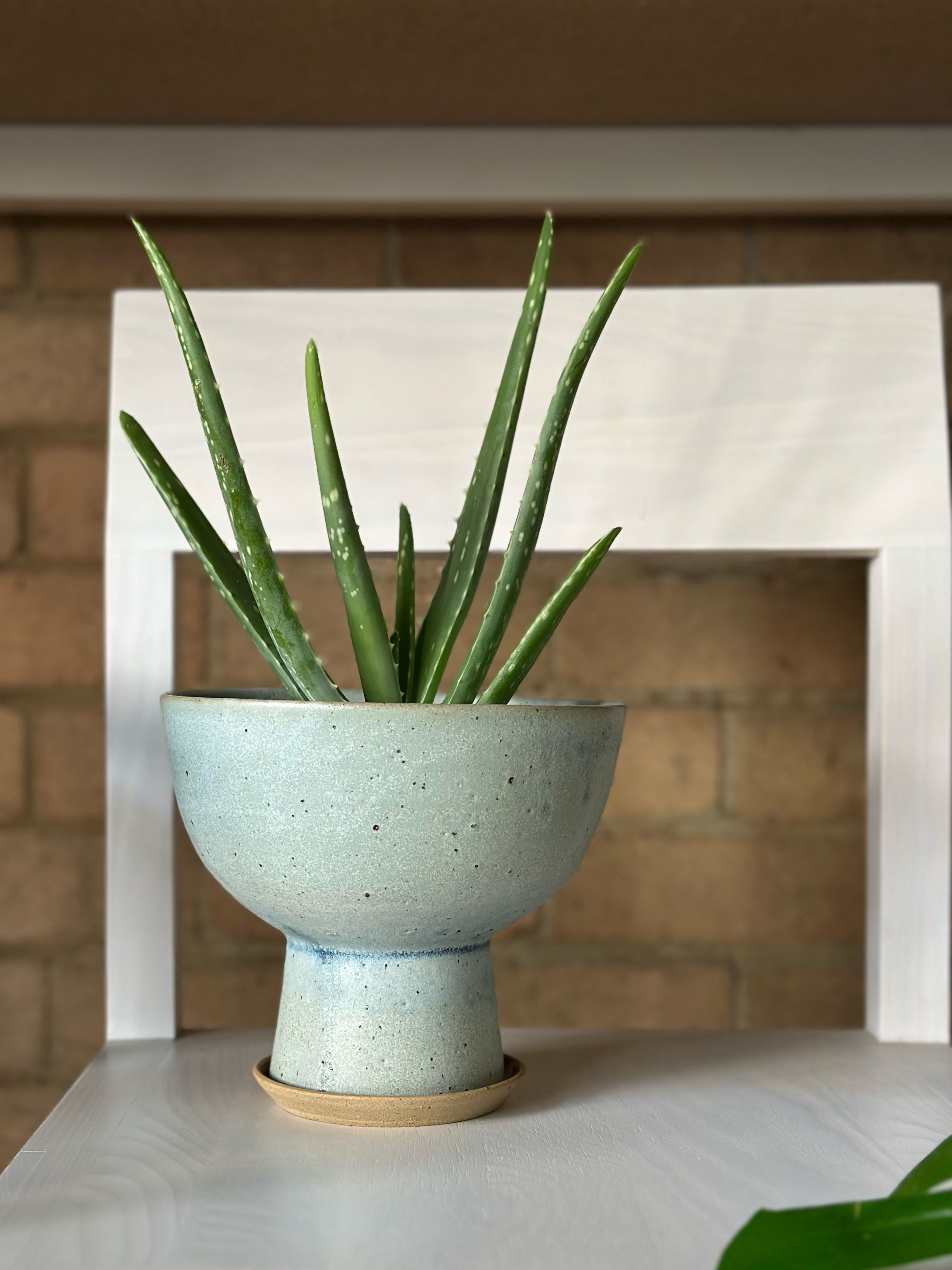 Bulb Planter in Blue Frost by Leaf & Thread – THE PLANT SOCIETY