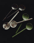Server Set of 2 by Lightly