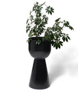 Extra Large Vera Planter by Lightly