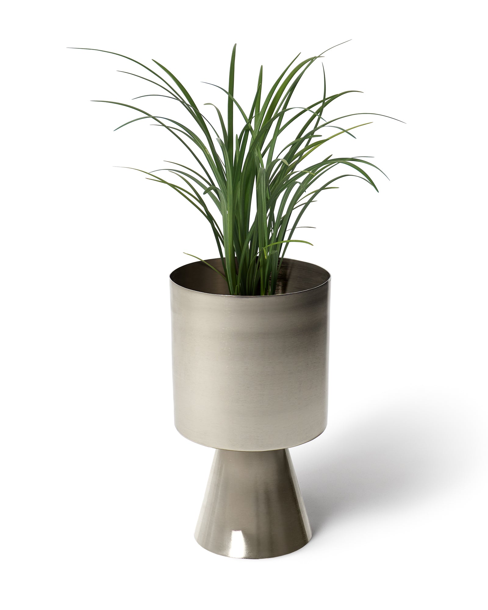 Medium Palm Springs Planter by Lightly