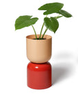 Extra Large Two Tone Planter by Lightly