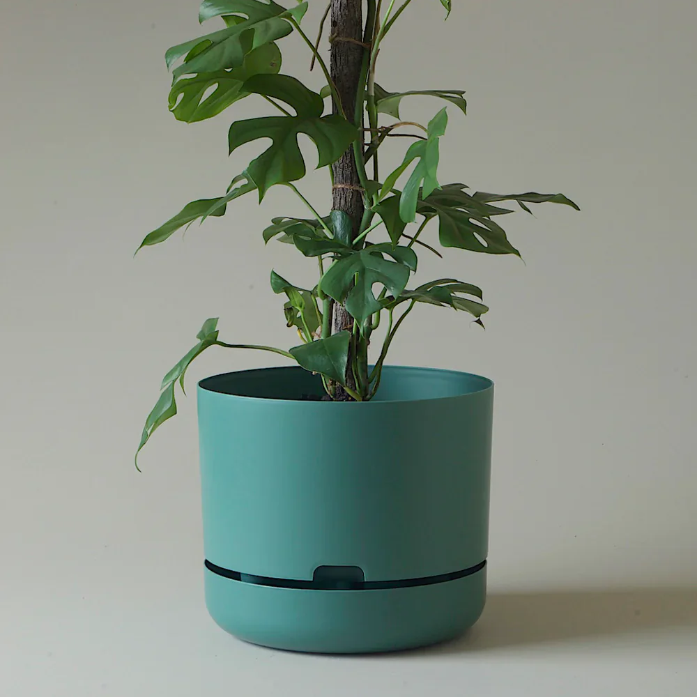 self watering plant pots australia Self Watering Planter 300mm by Mr Kitly