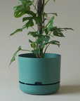Self Watering Planter 300mm by Mr Kitly