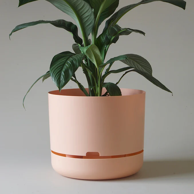 self watering planter australia Self Watering Planter 375mm by Mr Kitly