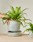 Organic Planter in Grey Crackle by Angus & Celeste