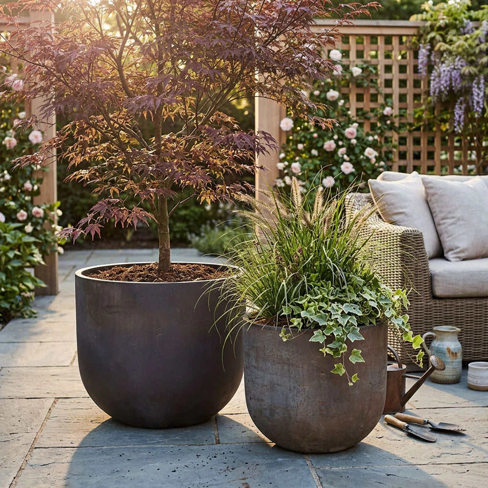 Oyster Planter