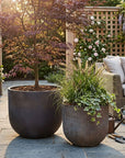 Oyster Planter