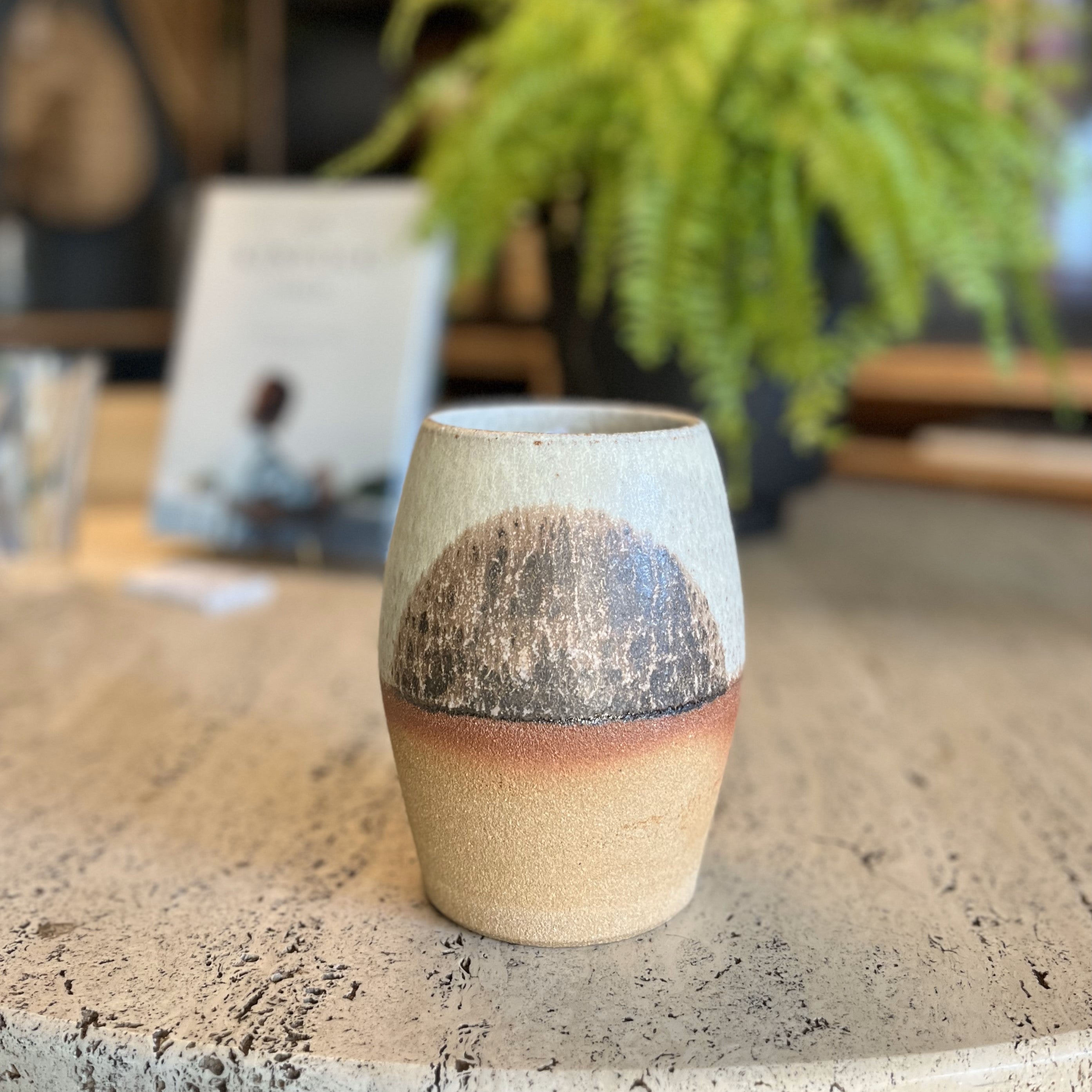 New Moon Planter by Peta Armstrong Ceramics THE PLANT SOCIETY