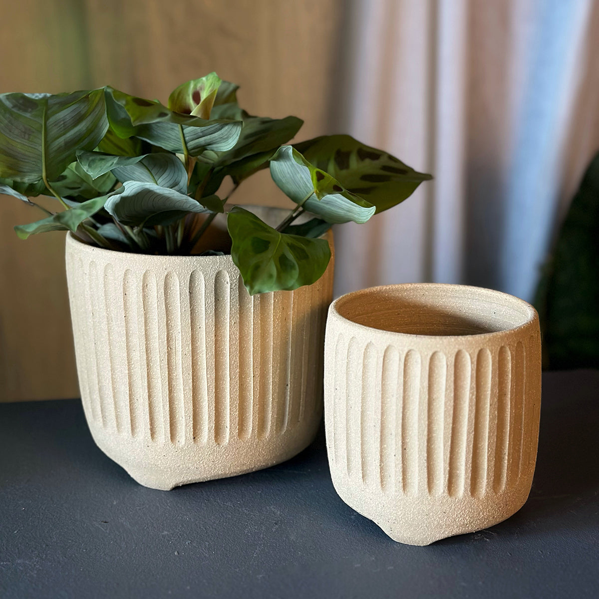 Handmade Ceramic Planters Planters I The Plant Society Melbourne Home and Plant