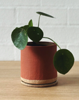 Terracotta ID Planter by Jenn Johnston