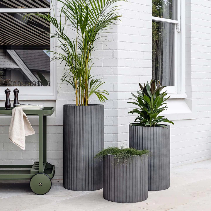 Ribbed Loob Planter | The Plant Society