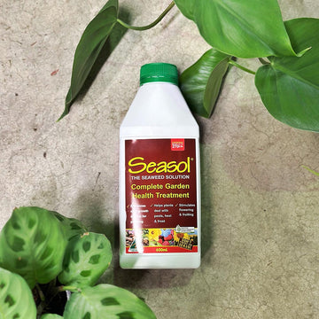 Seasol Concentrate Plant Food 600ml