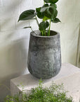 Tear Drop Planter - THE PLANT SOCIETY ONLINE OUTPOST