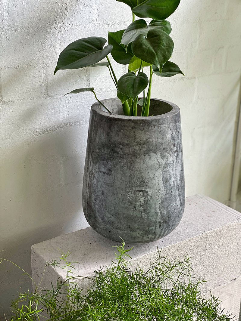 Tear Drop Planter - THE PLANT SOCIETY ONLINE OUTPOST