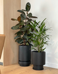 Low Tower Planter by The Plant Society x Capra Designs- Totem Collection -