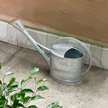 Traditional 9 Litre Galvanised Watering Can