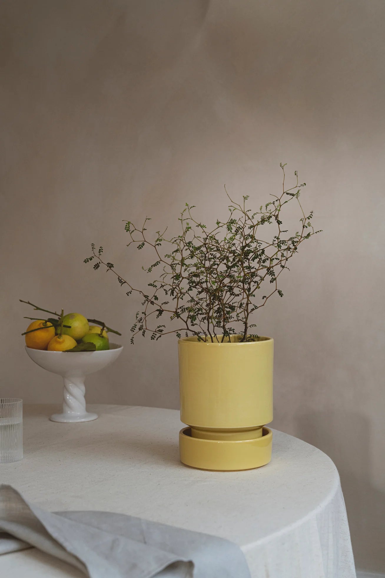 Hoff Planter by Bergs Potter