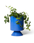 Small Palm Springs Planter by Lightly