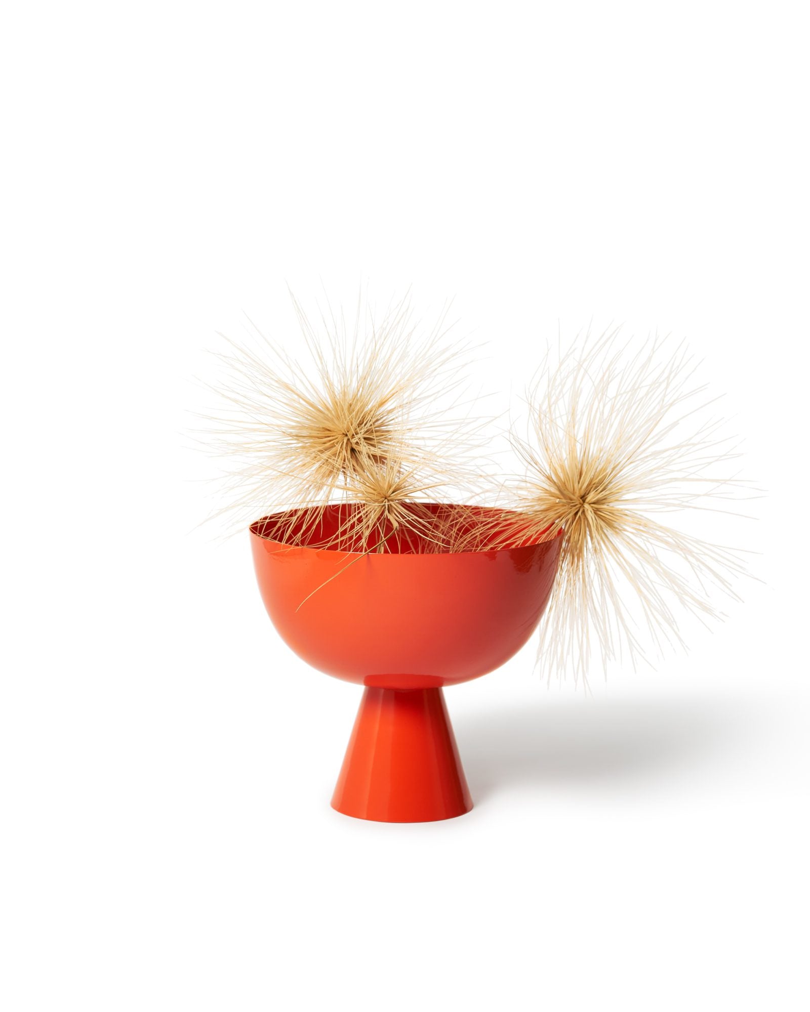 Large Vera Planter by Lightly