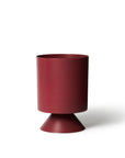 Small Palm Springs Planter by Lightly