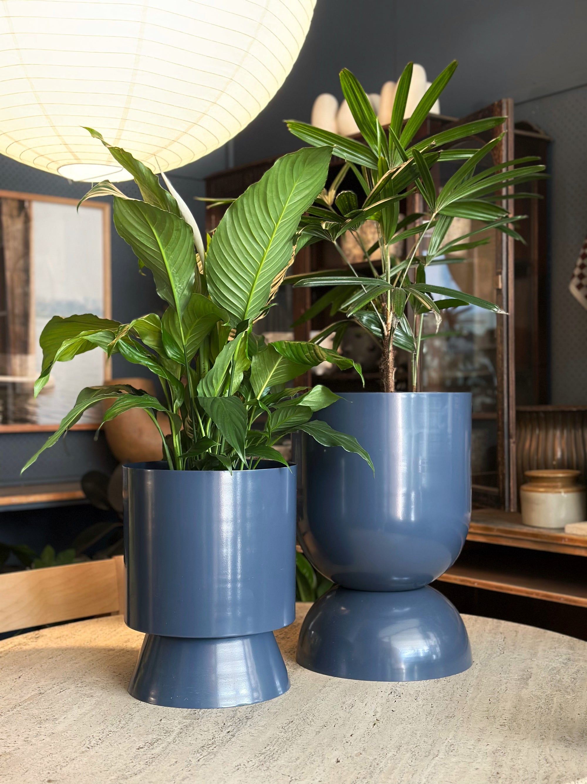 Large Palm Springs Planter by Lightly