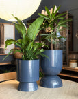 Large Palm Springs Planter by Lightly