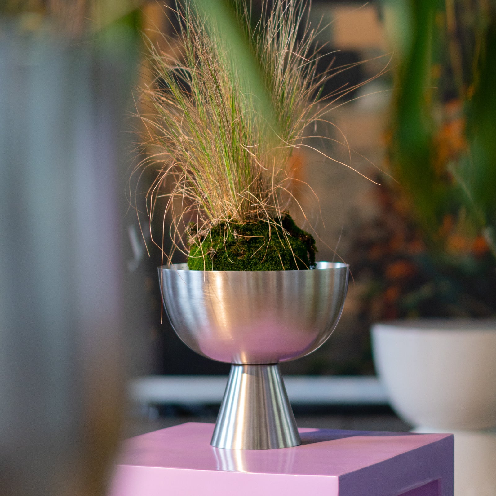 Large Vera Planter by Lightly