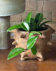 Spike Planter by Buzzby & Fang