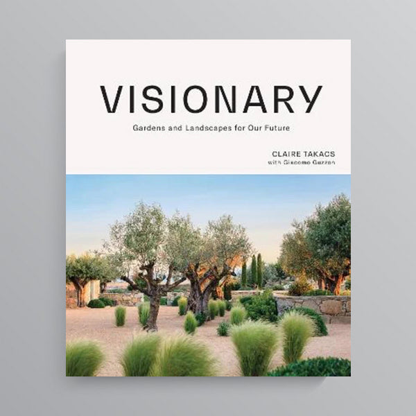Visionary by Claire Takacs