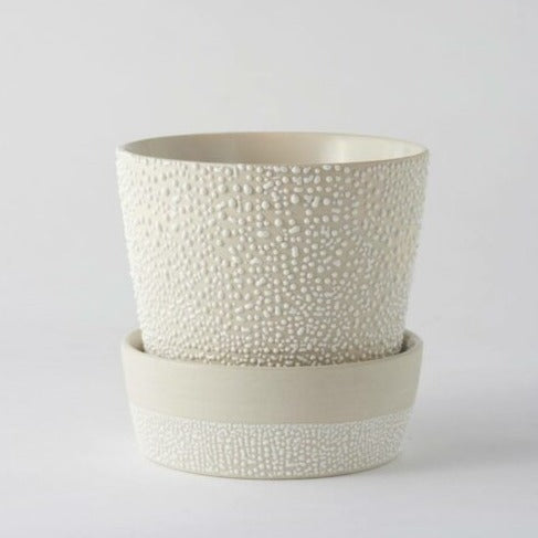 Water Bead Plant Pot by Angus &amp; Celeste