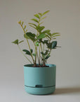 Self Watering Planter 215mm by Mr Kitly