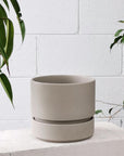Cora Planter by The Plant Society in Stone - THE PLANT SOCIETY