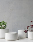 Zinc White Minimalist Planter by Arcadia Scott - THE PLANT SOCIETY