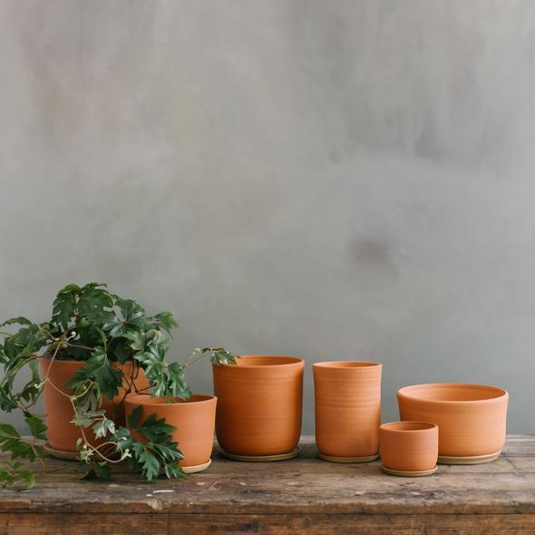 Terracotta Planter by Leaf & Thread - THE PLANT SOCIETY